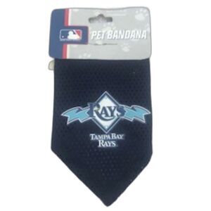 Doggie Bandana . Size: Small . Tampa Bay Rays